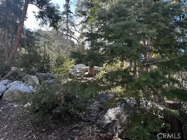 0 Fir, Forest Falls, CA 92339 - Image #2