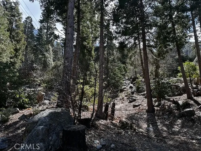 0 Fir, Forest Falls, CA 92339 - Image #3