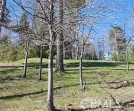 42 Park, Running Springs, CA 92382 - Image #2