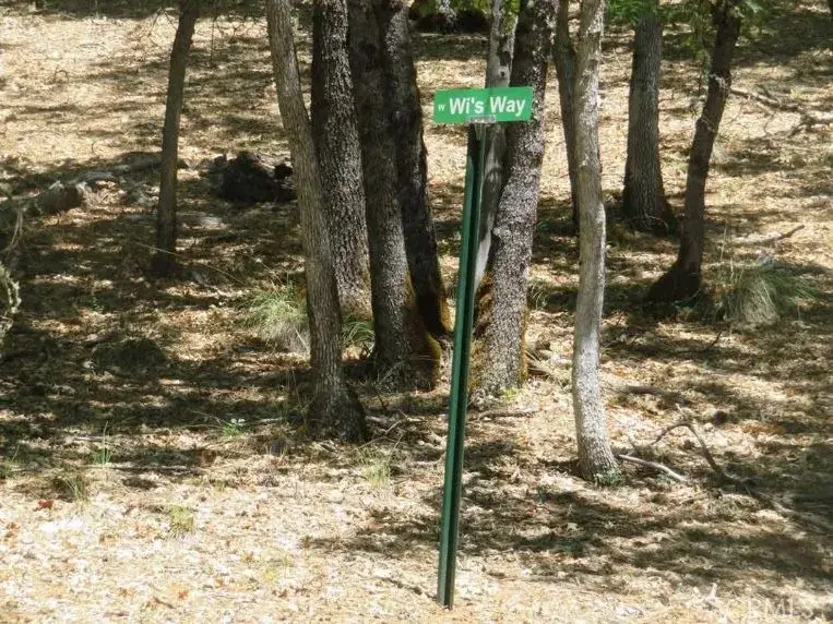 0 Bowerman Ridge Dr, Trinity Center, CA 96091 - Image #3