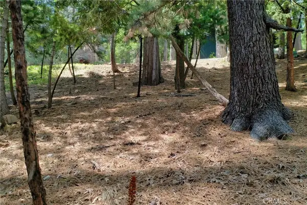 0 Terrace, Lake Arrowhead, CA 92352