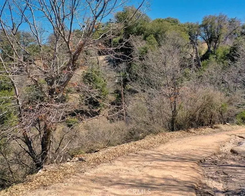 185 Acacia, Cedar Glen, CA 92321 - Image #2