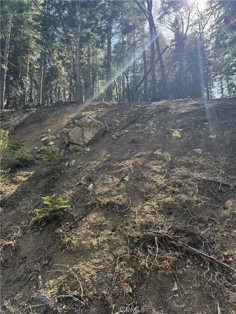 26537 Spyglass, Lake Arrowhead, CA 92352 - #3