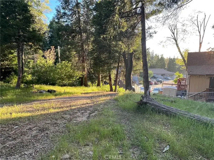 29038 Terrace, Cedar Glen, CA 92321 - Image #2