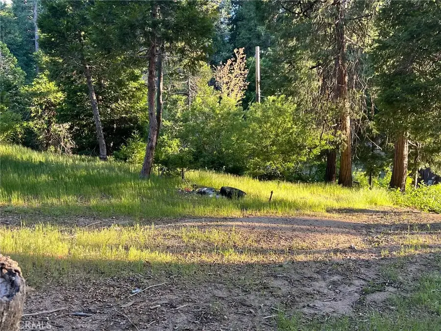 29038 Terrace, Cedar Glen, CA 92321 - Image #3