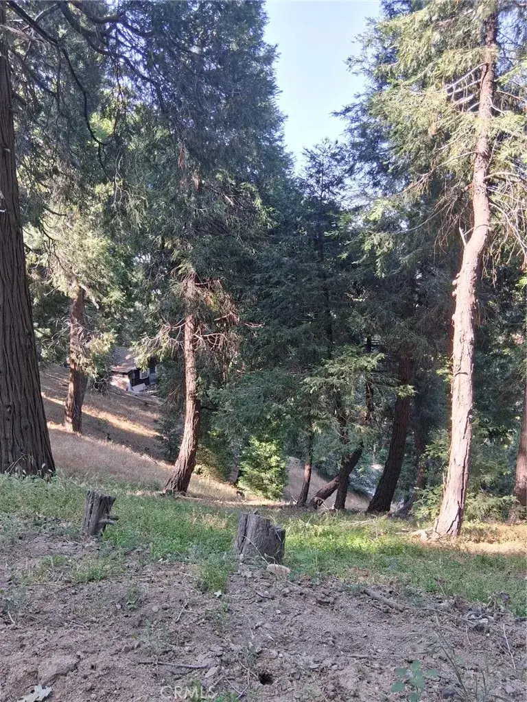 61 Evergreen, Cedarpines Park, CA 92322 - Image #3