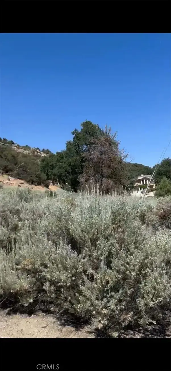 #3