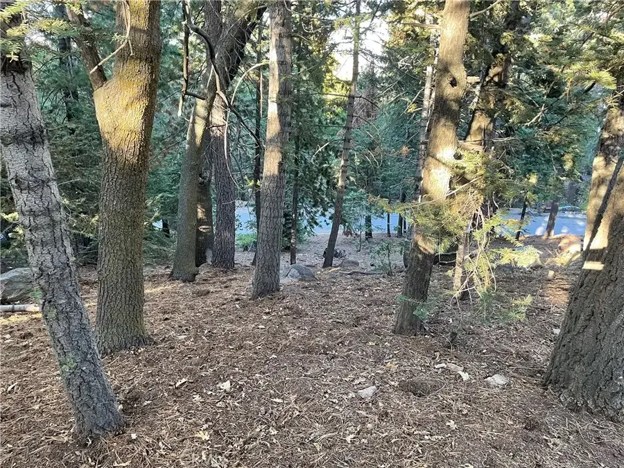 26405 Walnut Hills, Lake Arrowhead, CA 92391 - #2