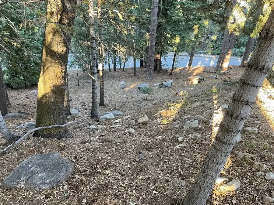 26405 Walnut Hills, Lake Arrowhead, CA 92391 - #3