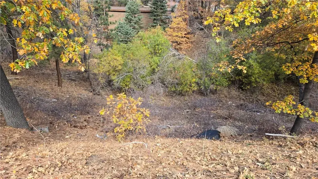 1000 Butte, Big Bear, CA 92314 - Image #1