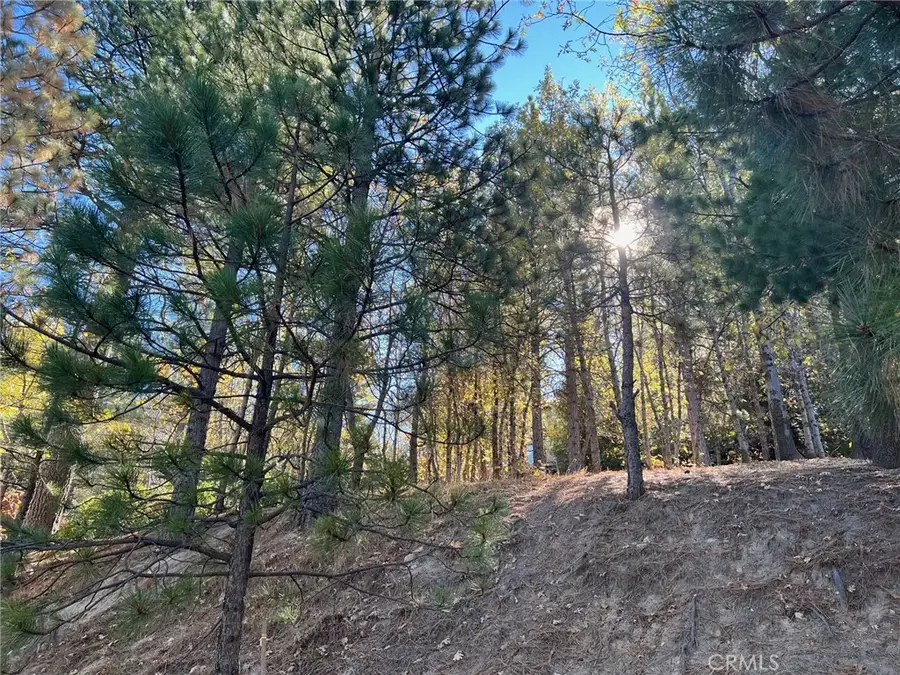 82 Pixie, Running Springs, CA 92382 - Image #2