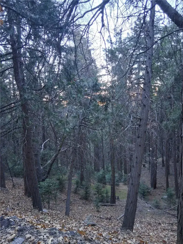 0 Reservoir, Cedarpines Park, CA 92322 - #1