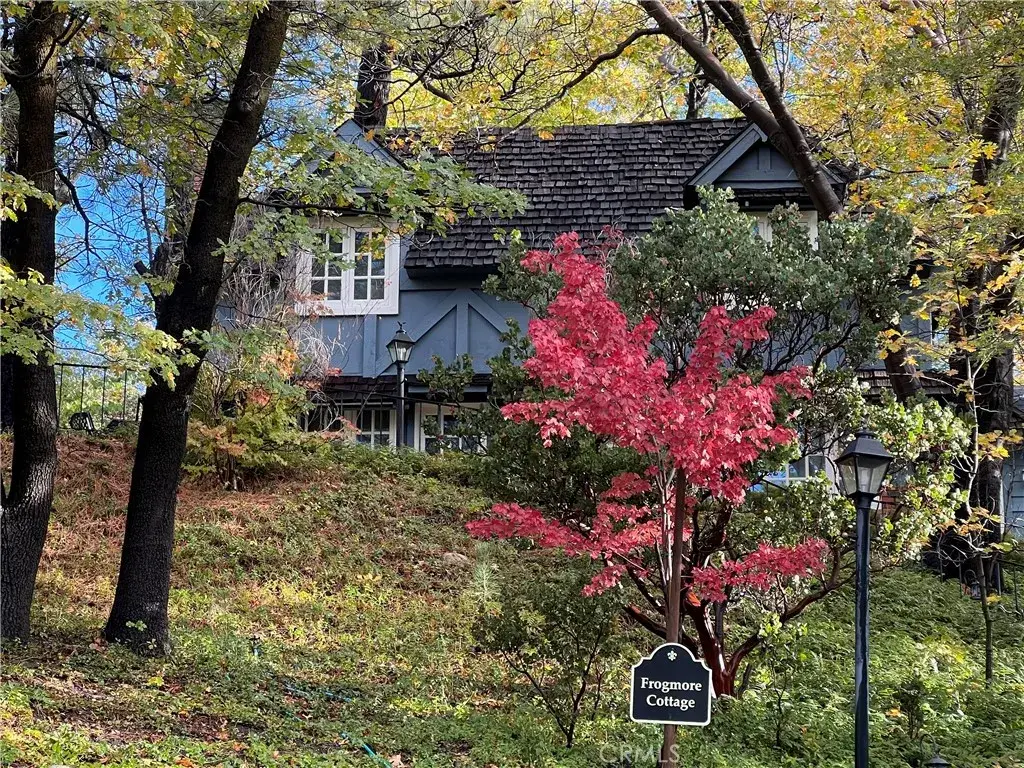 28972 North Shore Road, Lake Arrowhead, CA 92352 - #1