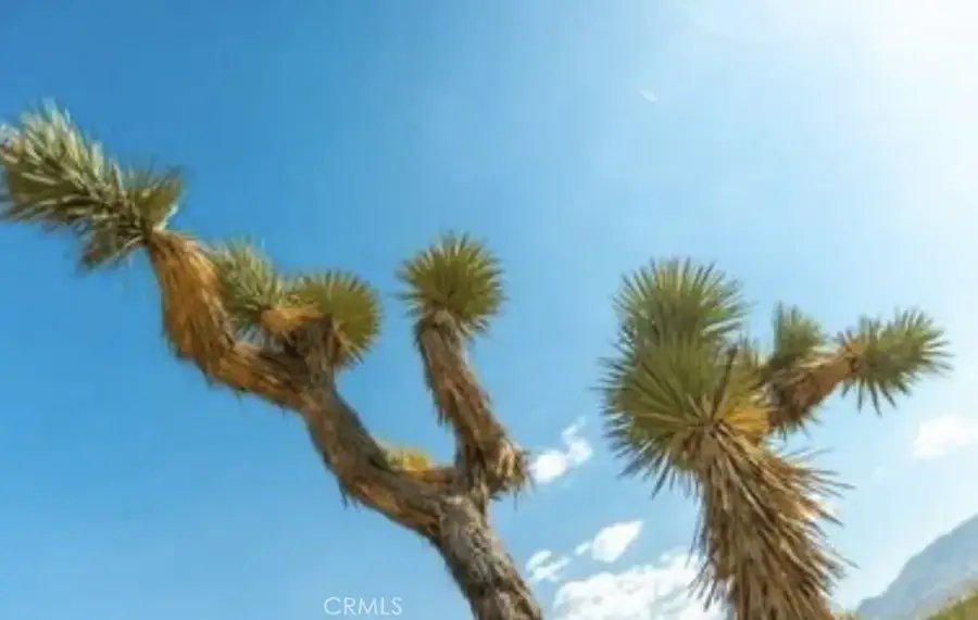 10 171st East, Palmdale, CA 93591 - Image #3