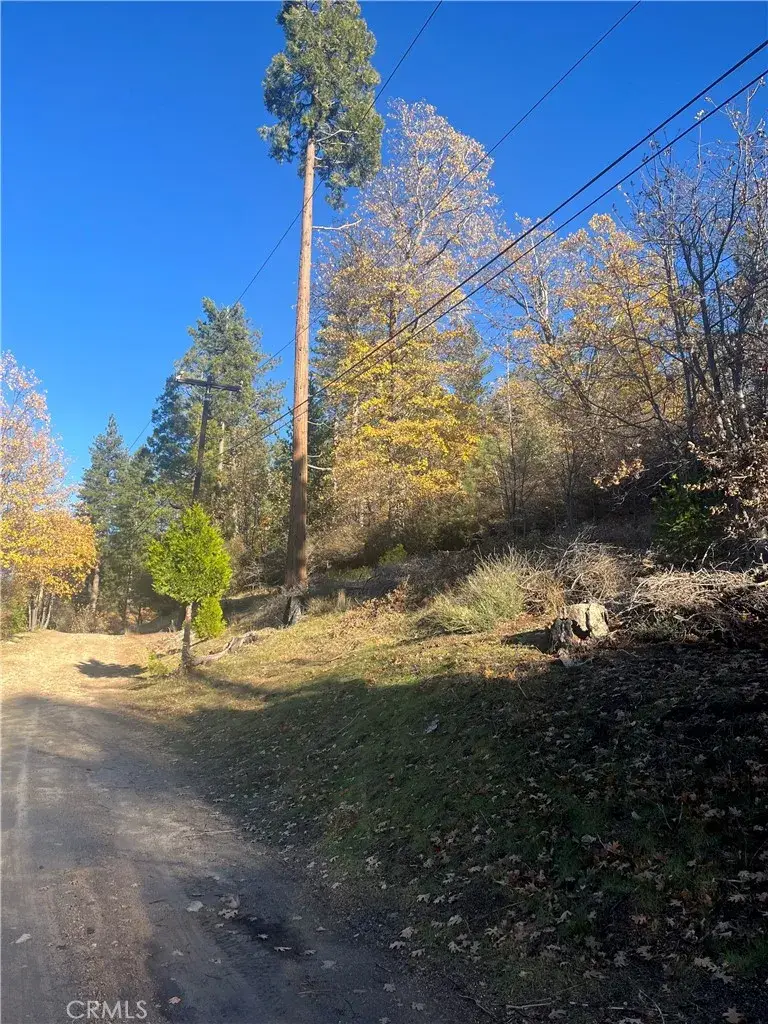 29834 Juniper, Cedar Glen, CA 92321 - Image #3