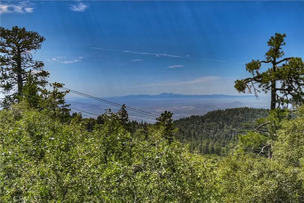 25515 True, Twin Peaks, CA 92391 - Image #1