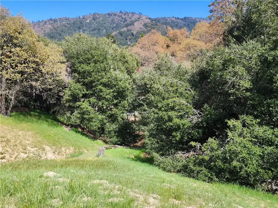 327 Davos, Crestline, CA 92325 - Image #2