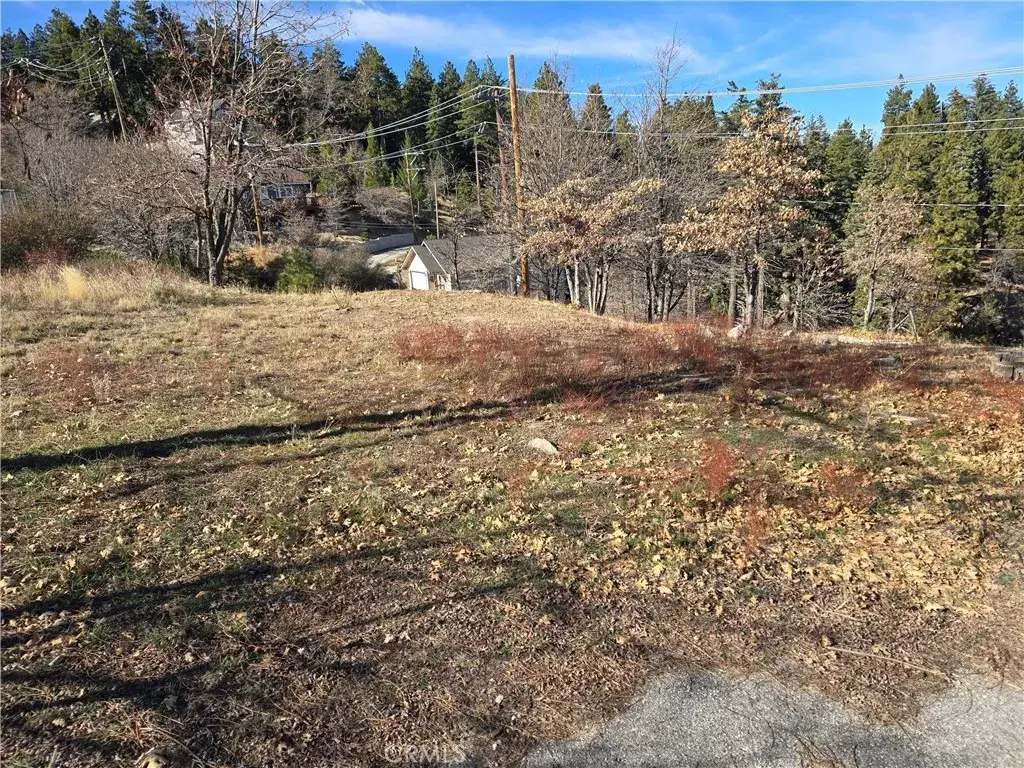 2350 Deep Creek, Running Springs, CA 92382 - #1