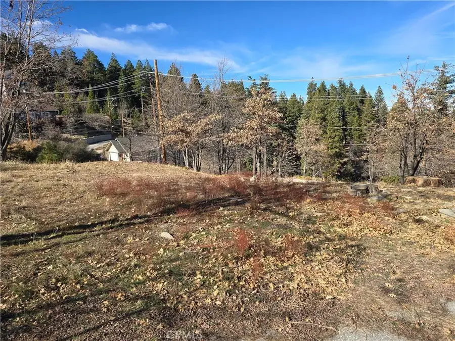 2350 Deep Creek, Running Springs, CA 92382 - #2