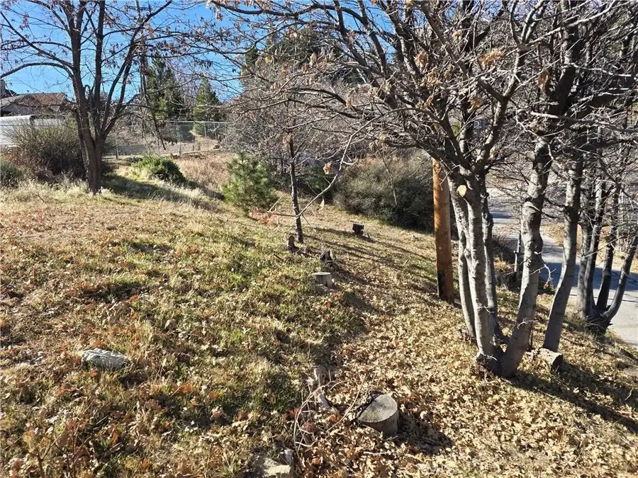 2350 Deep Creek, Running Springs, CA 92382 - #3
