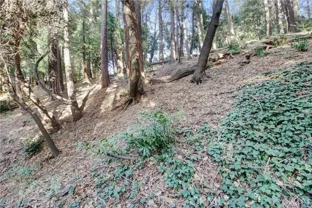 2662 Scenic, Crestline, CA 92325 - #3