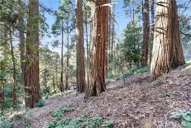 2661 Scenic, Crestline, CA 92325 - #3
