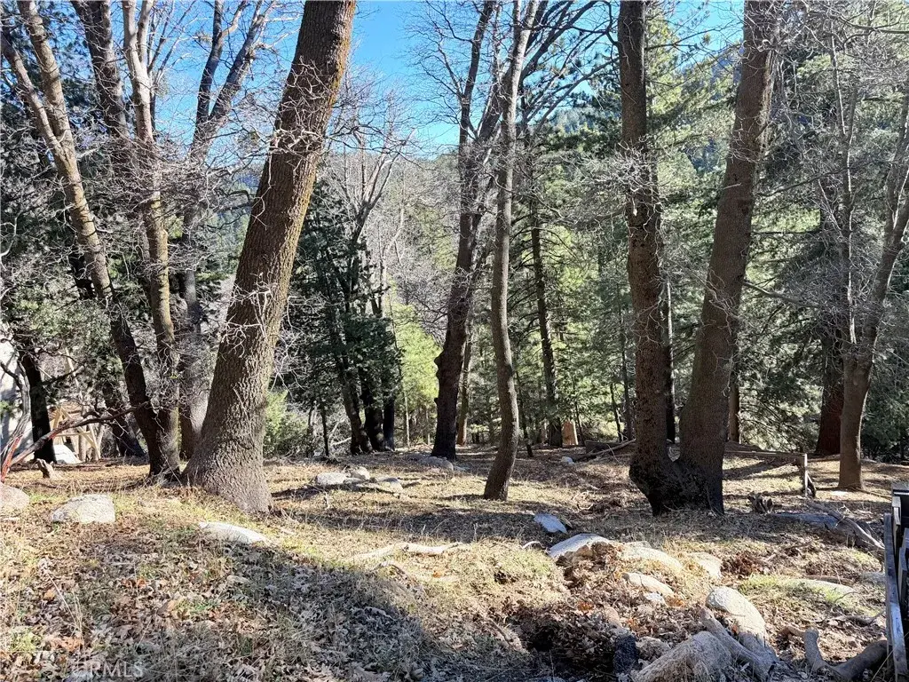 0 Thunderbird, Lake Arrowhead, CA 92352 - Image #1