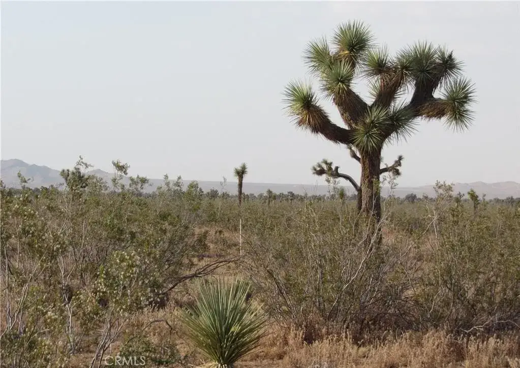 0 3129-171-06-0000 Caughlin, Adelanto, CA 92301 - #1