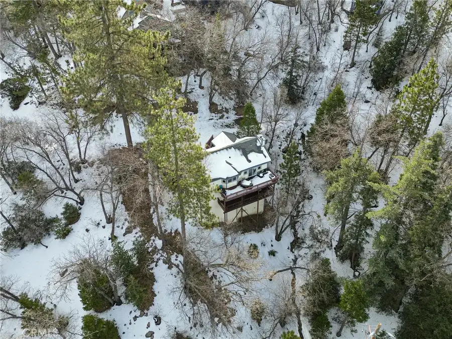 1419 Calgary, Lake Arrowhead, CA 92352 - #3