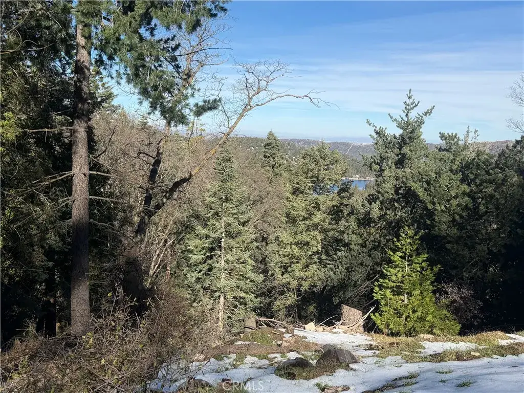 24989 Highland, Crestline, CA 92325 - #1