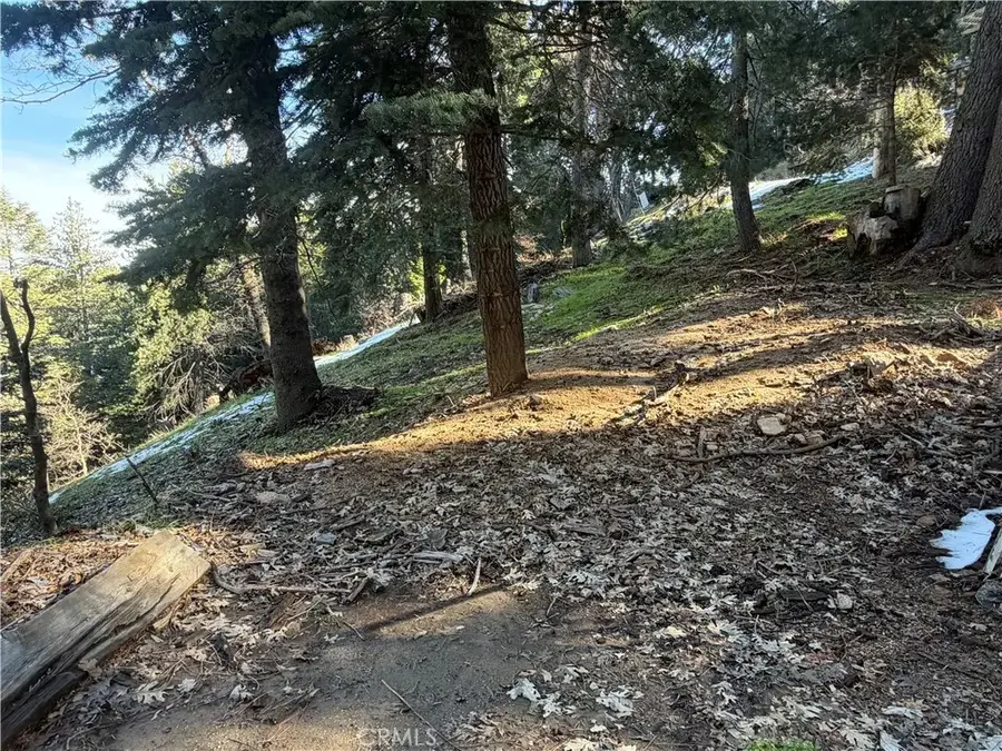 24989 Highland, Crestline, CA 92325 - #3