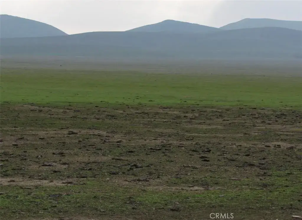 0 043-470-16-00-7 Emily, Lost Hills, CA 93249 - #1