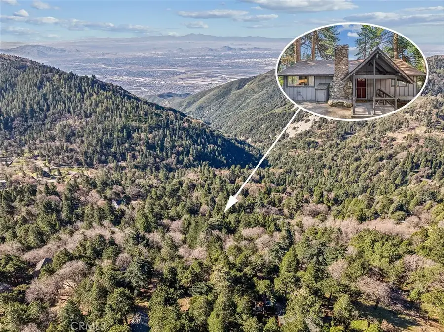 21621 Sawpit Canyon, Cedarpines Park, CA 92322 - #3