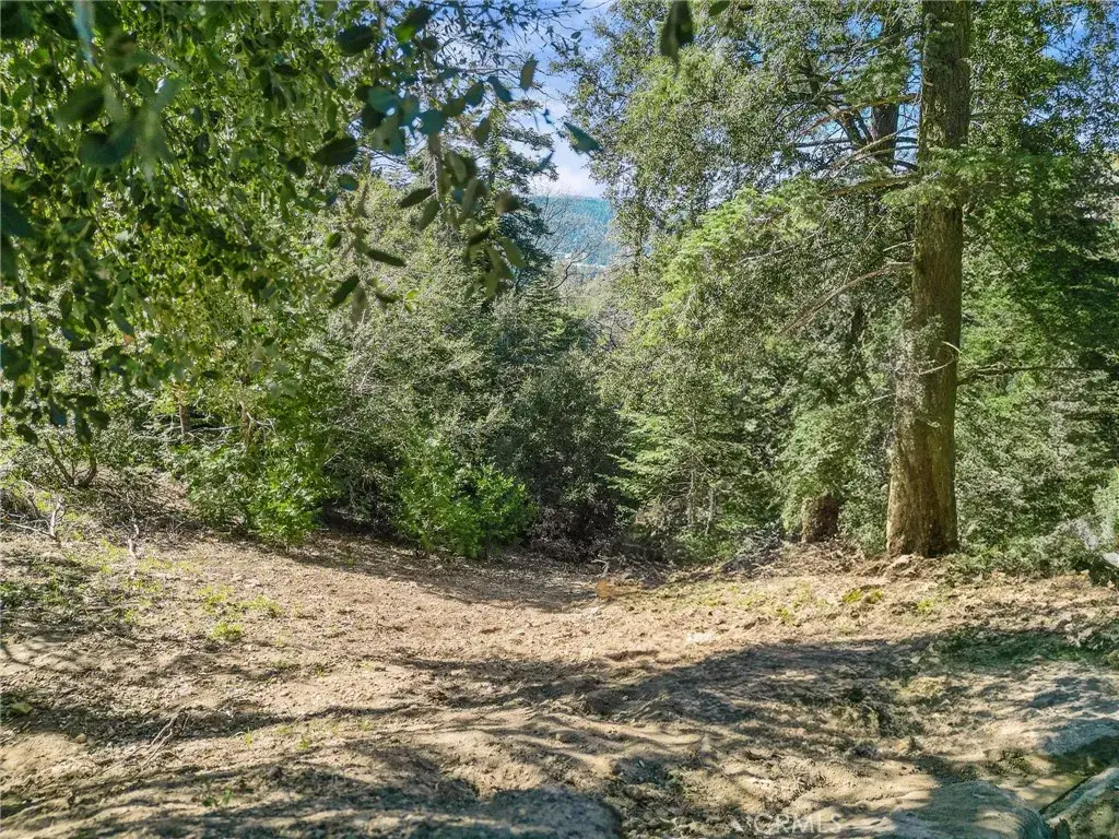 0 Chateau, Crestline, CA 92325 - #1