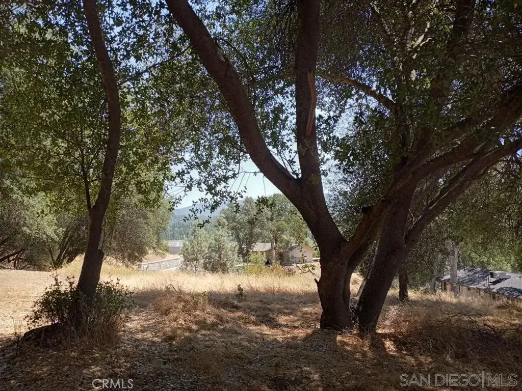 0 Live Oak, Oakhurst, CA 93644 - #1