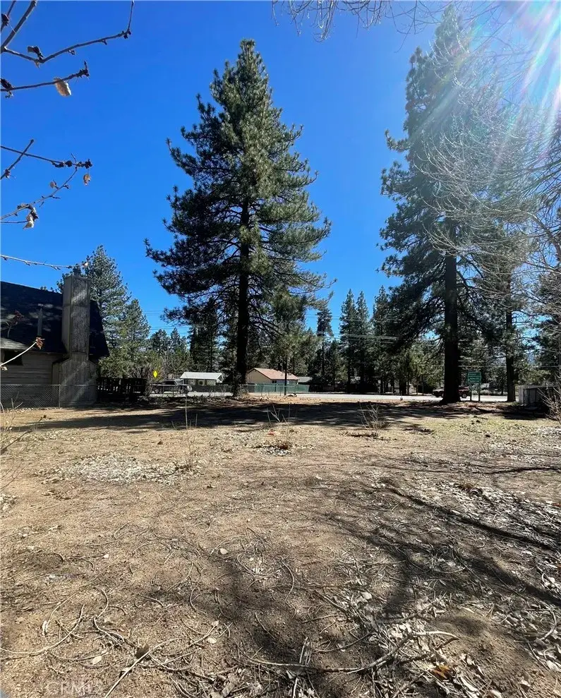 109 W North Shore, Big Bear City, CA 92314 - #3