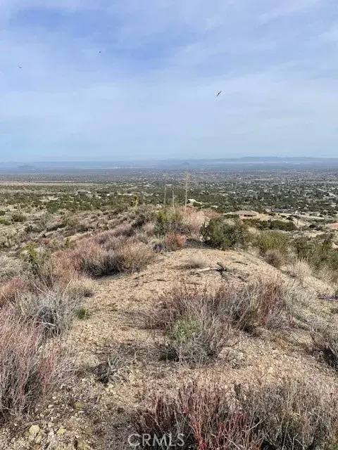 0 None, Pinon Hills, CA 92372