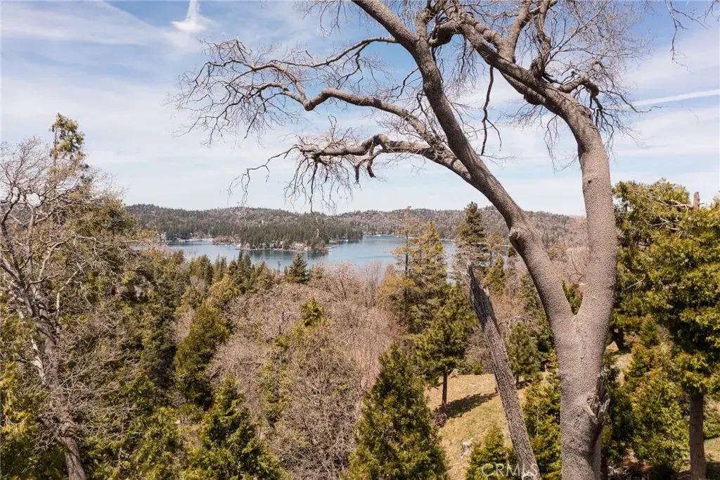 226 Hidden Forest, Lake Arrowhead, CA 92352 - #1