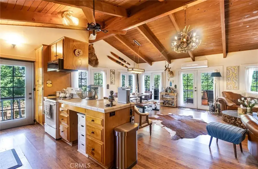 28975 Alder Terrace, Cedar Glen, CA 92321 - #2