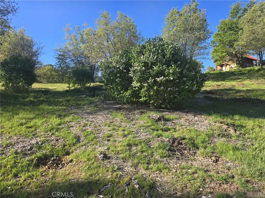 29783 Redwood, Cedar Glen, CA 92321 - #1