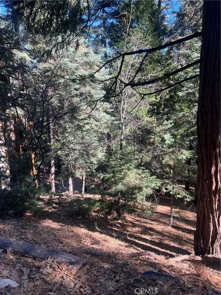 0 Forest, Twin Peaks, CA 02391 - #2