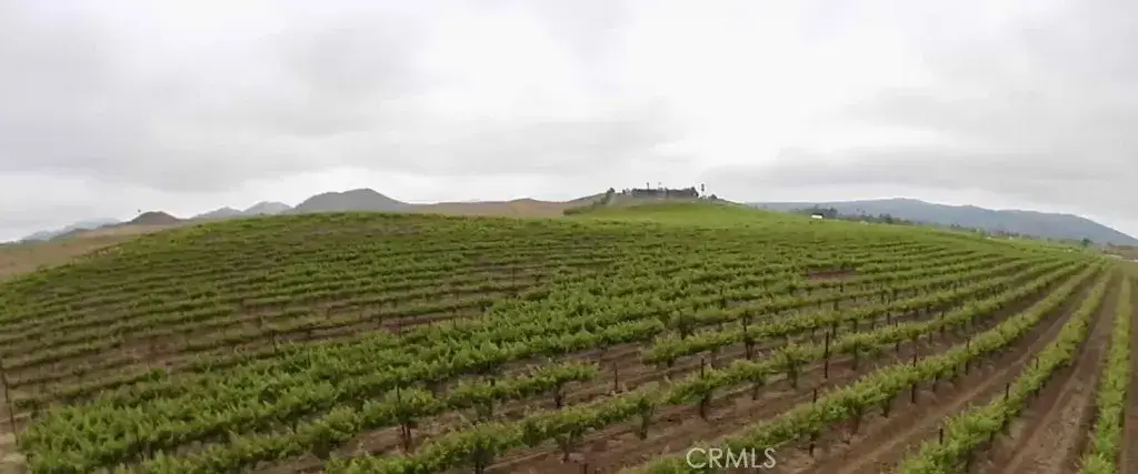 6 Berenda, Temecula, CA 92592 - #1