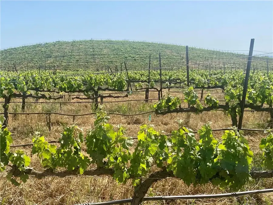 6 Berenda, Temecula, CA 92592 - #3