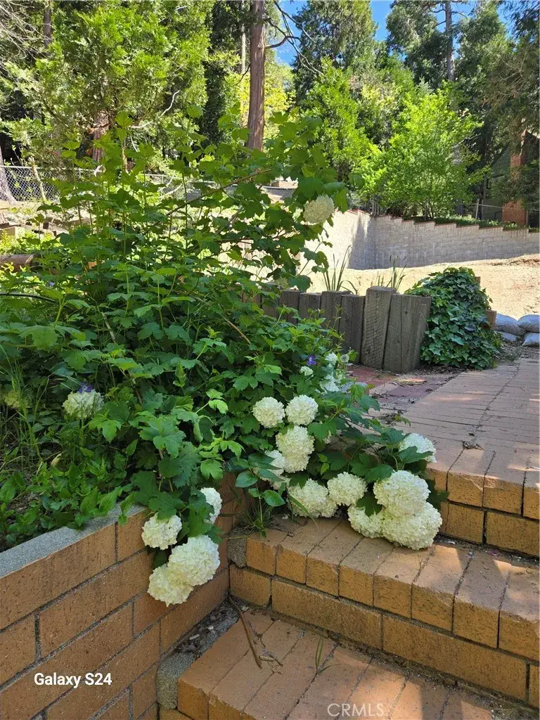 29053 Hook Creek, Cedar Glen, CA 92321 - #3