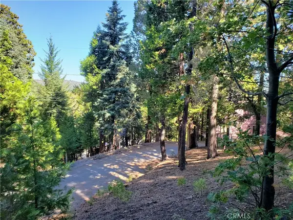 330 Castle Gate, Lake Arrowhead, CA 92352