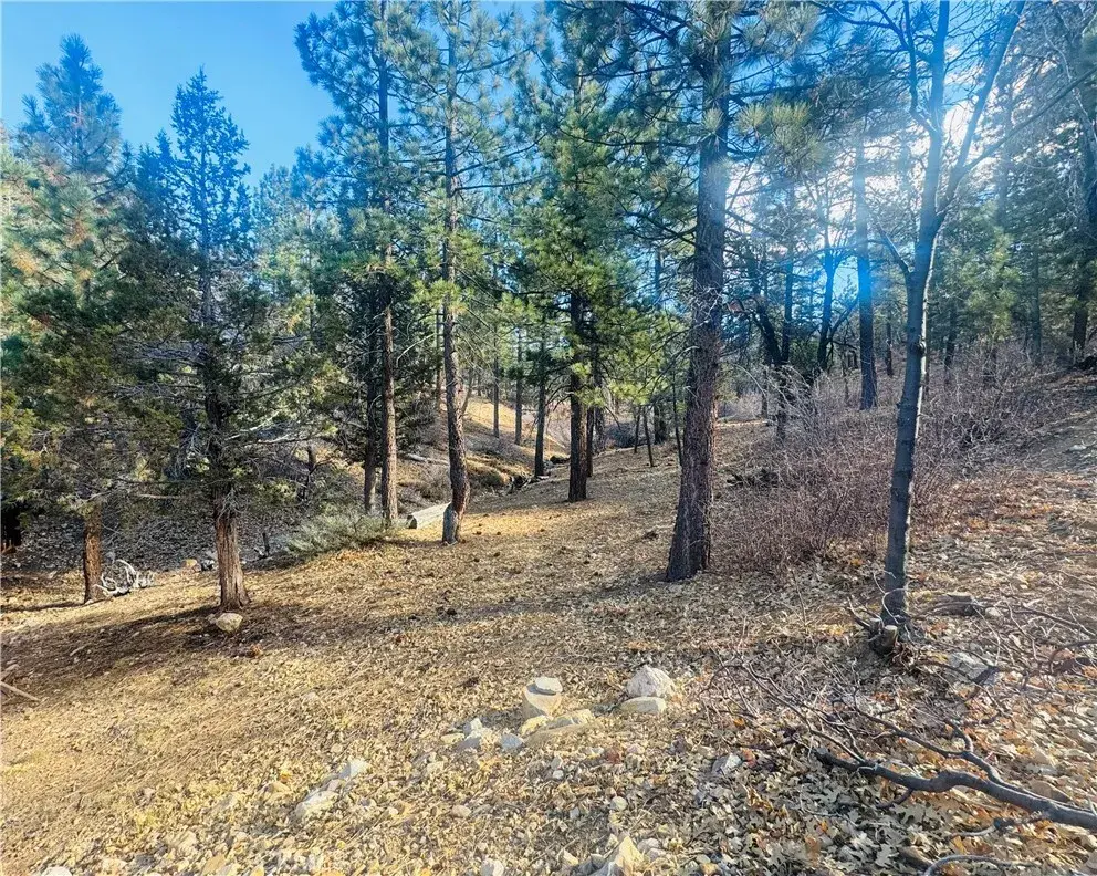 899 Kern, Sugarloaf, CA 92386 - #1