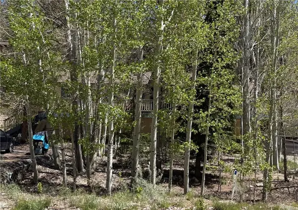 1060 Eagle Mountain Dr., Big Bear City, CA 92314