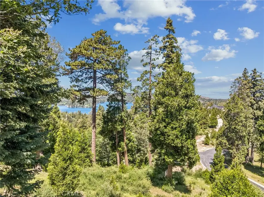 280 Ponderosa Peak, Lake Arrowhead, CA 92352 - #2