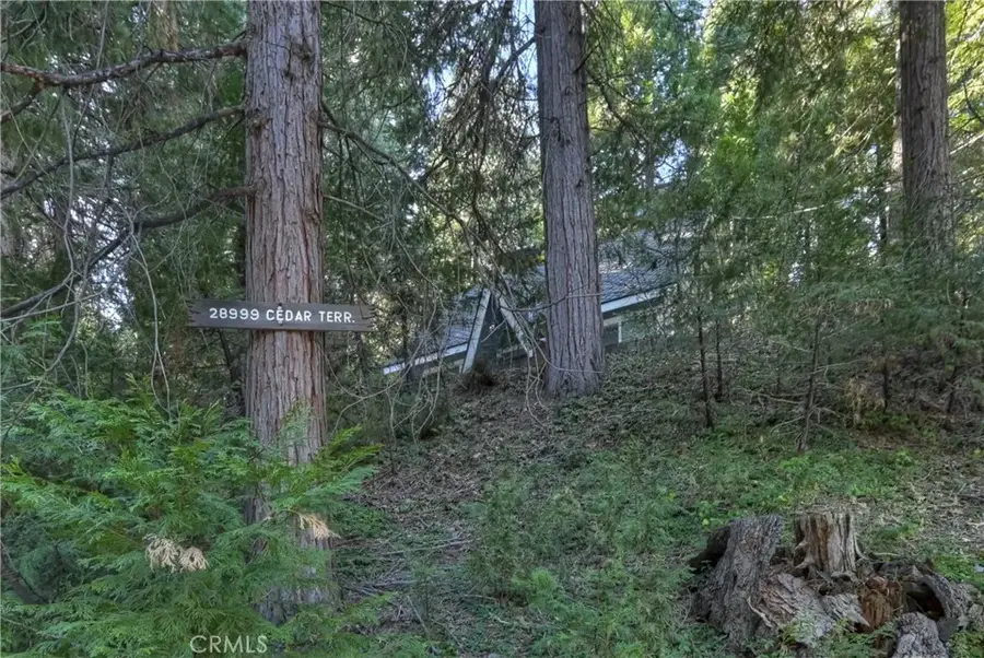 28999 Cedar Terrace, Cedar Glen, CA 92321 - #3