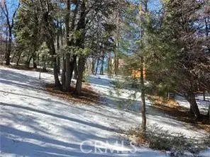 0 Columbine, Big Bear City, CA 92314 - #2
